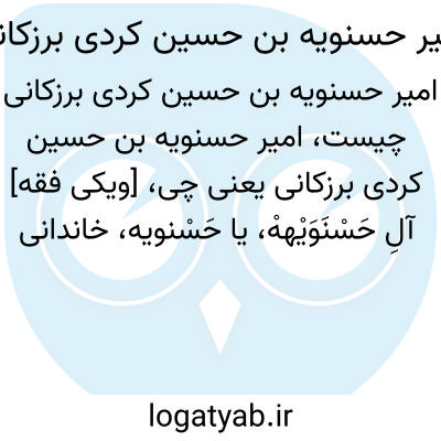 تصویر معنی امیر حسنویه بن حسین کردی برزکانی