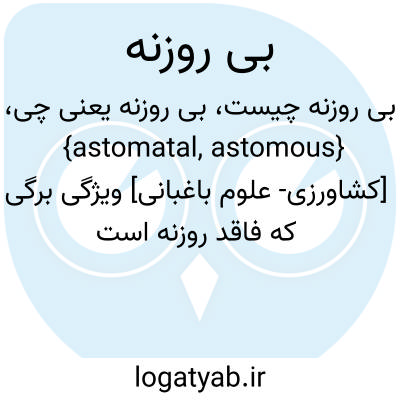 تصویر معنی بی روزنه