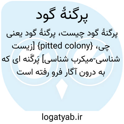 تصویر معنی پرگنۀ گود