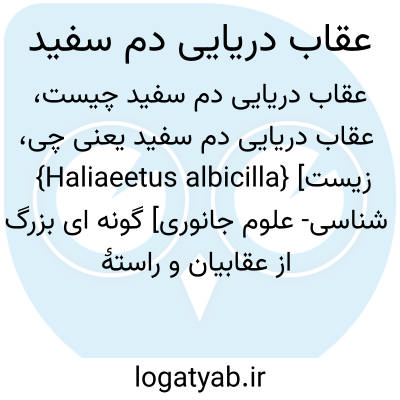 تصویر معنی عقاب دریایی دم سفید