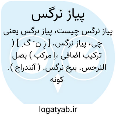 تصویر معنی پیاز نرگس