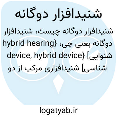 تصویر معنی شنیدافزار دوگانه