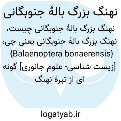 تصویر معنی نهنگ بزرگ بالۀ جنوبگانی