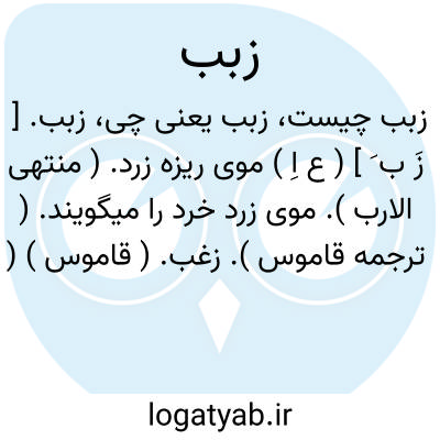 تصویر معنی زبب